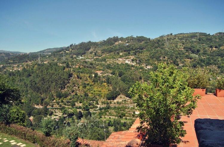 فيلا Quinta Do Freixieiro سينفايس المظهر الخارجي الصورة